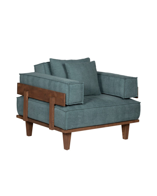 Frame Ash Lounge Chair | TCL037