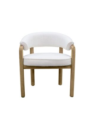 wrap-arm-fabric-hardwood-chair-sf075-7