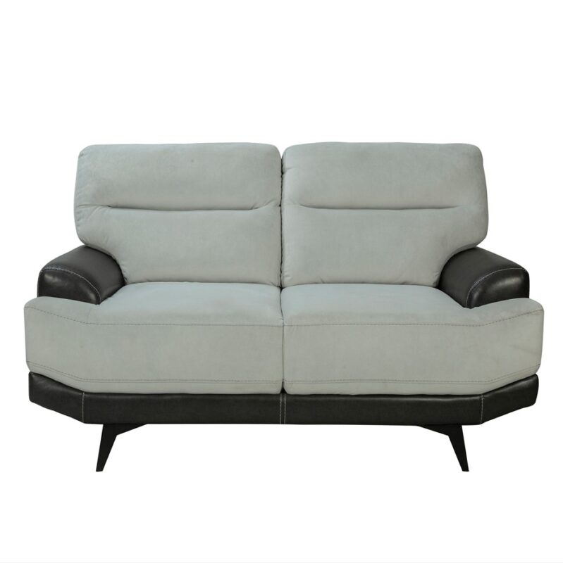 Dual-Tone Fabric and PU Leather Love Seat with Angular Base | TSF005A