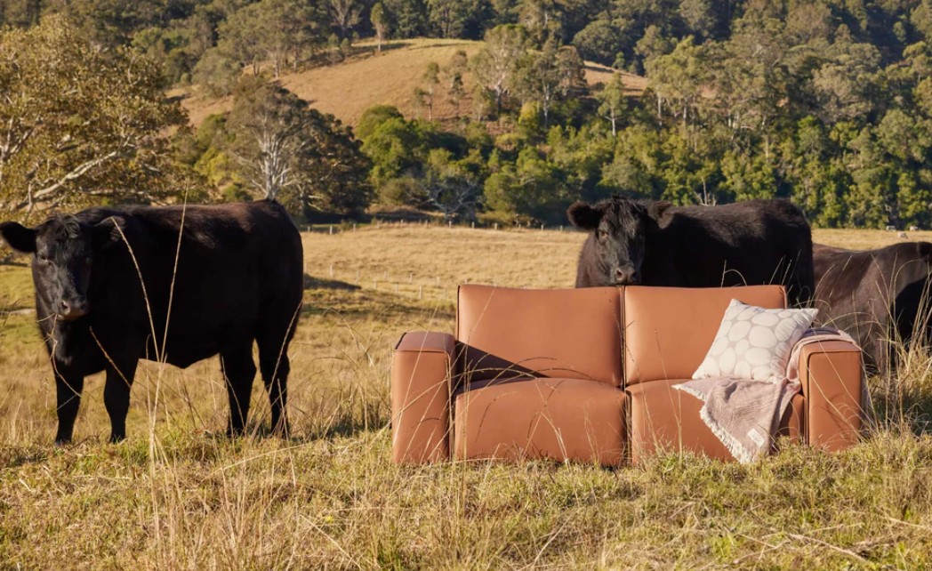 All You Need to Know About Vegan Leather