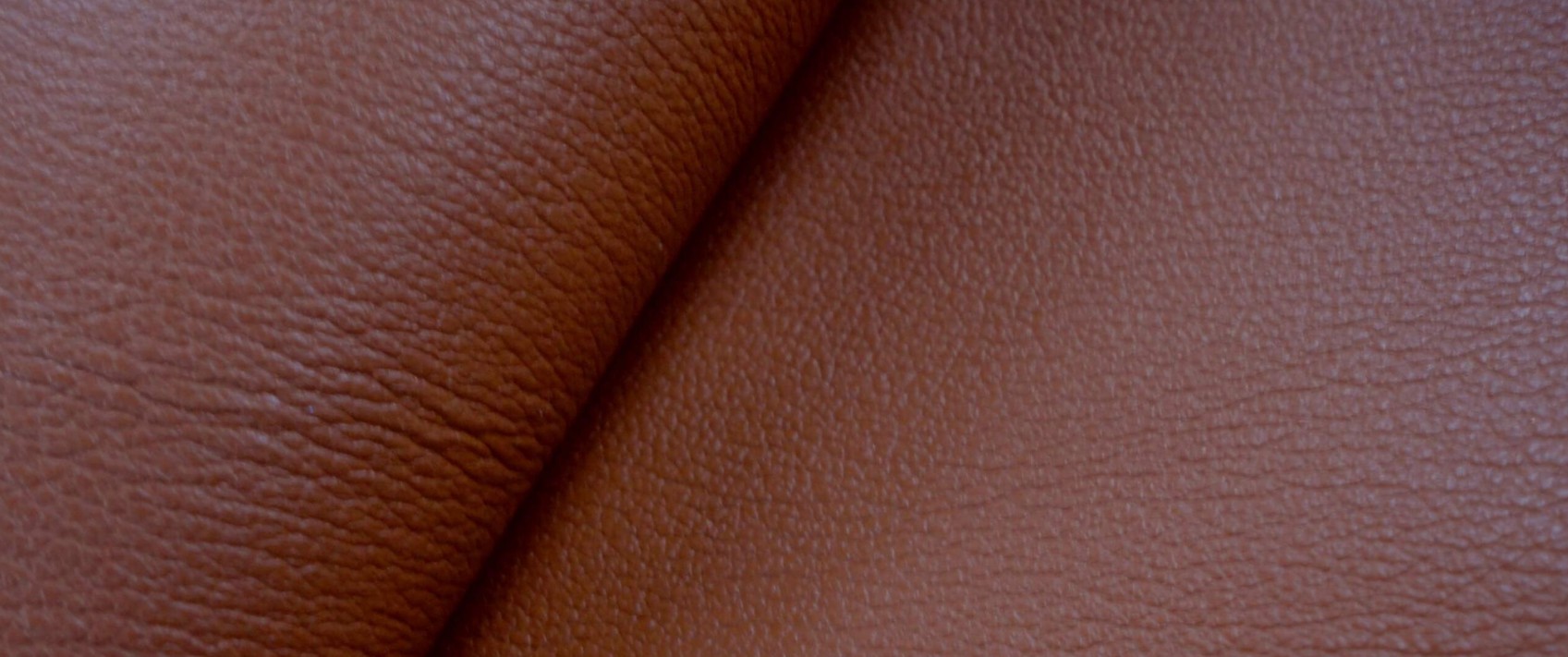 Corrected-Grain Leather