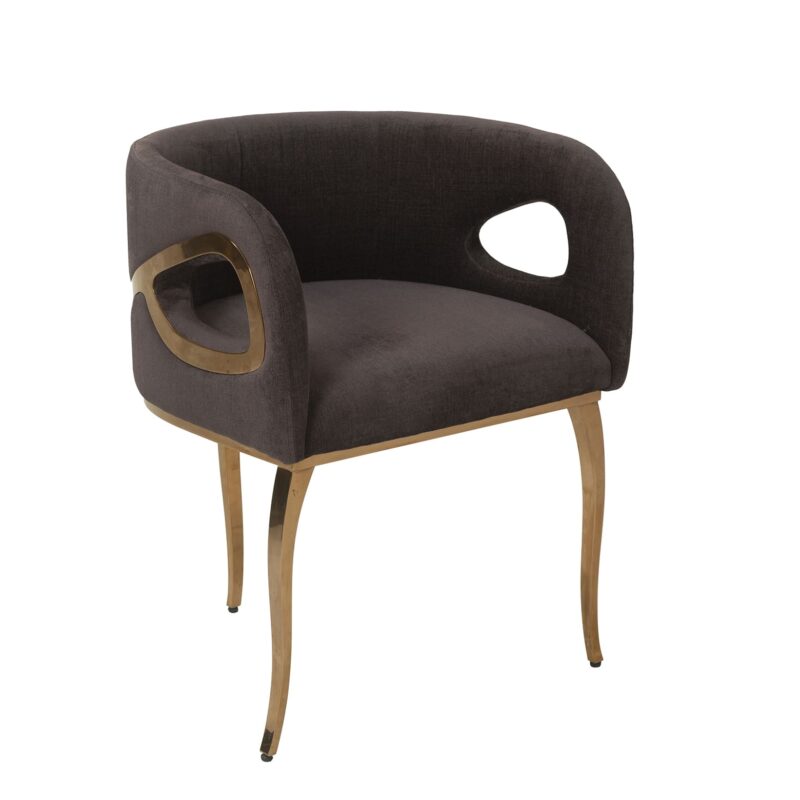 Asymmetrical Iron Dining Chair with Curved Support Frame