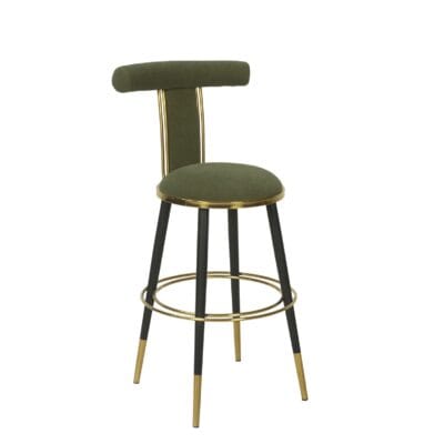 Iron Bar Chair with Circular Footrest Support Frame