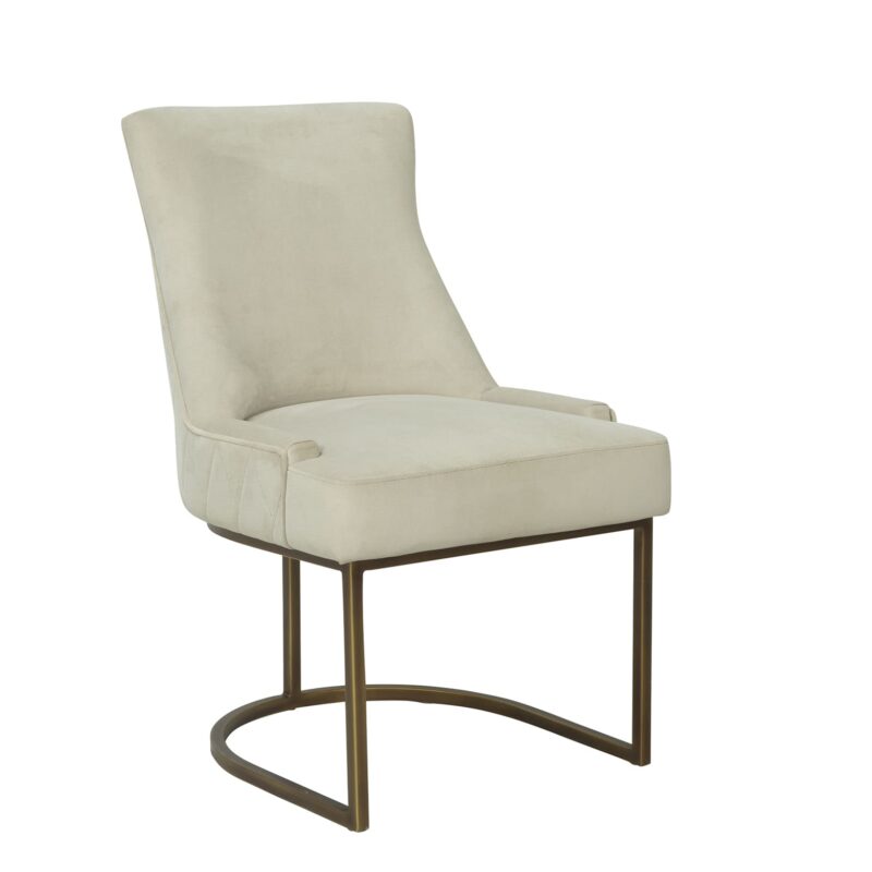 Iron Dining Chair with Curved Base Support Frame