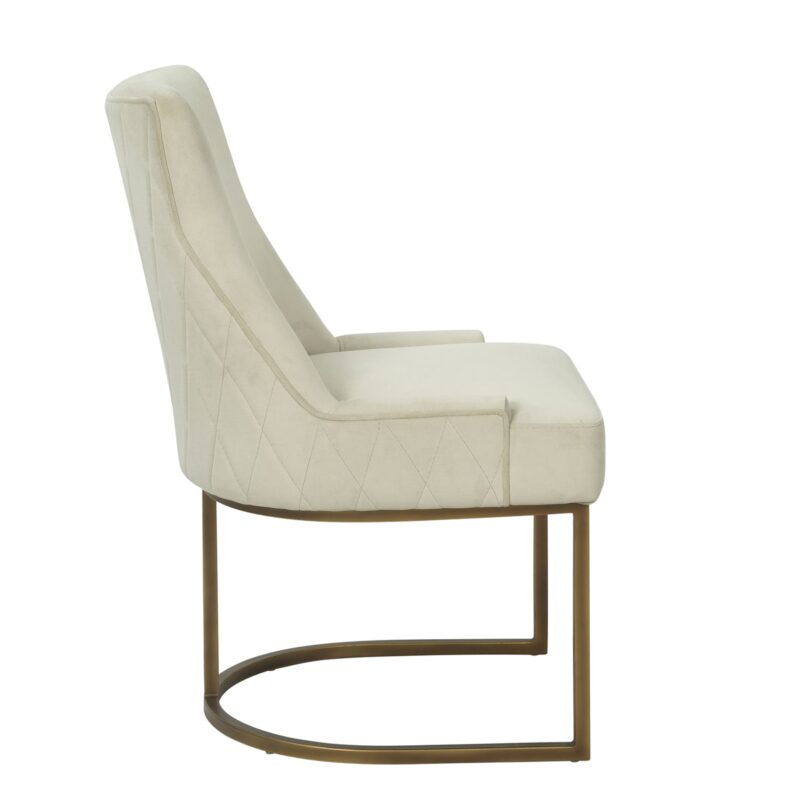 Iron Dining Chair with Curved Base Support Frame | CH049