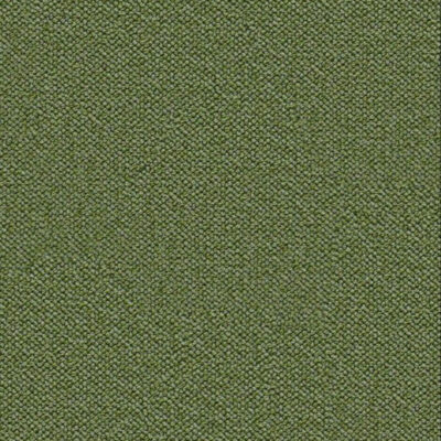 Olive Basket
