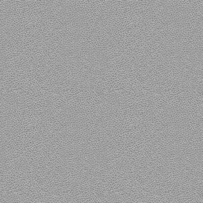 Light Gray Micro Pebble